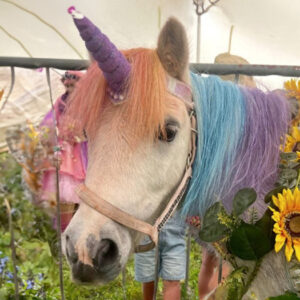 Unicorns at Kingscote
