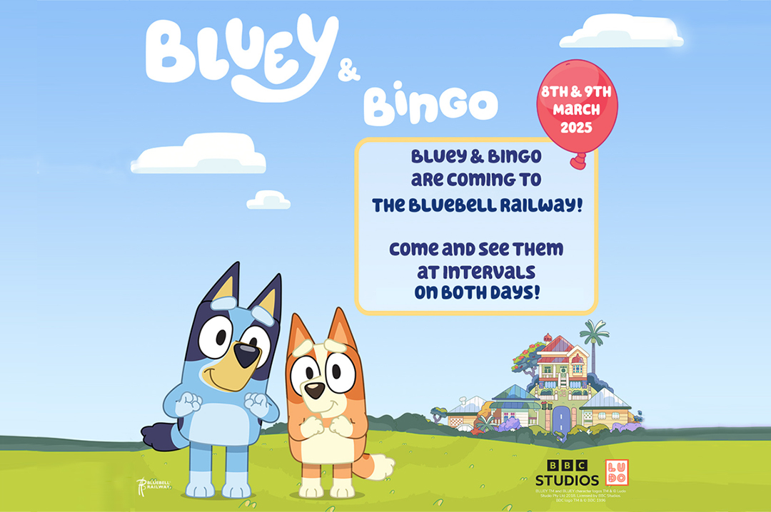 Bluey Bingo The Bluebell Railway in Sussex