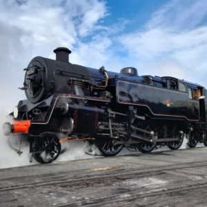 Bluebell Railway 65th Anniversary