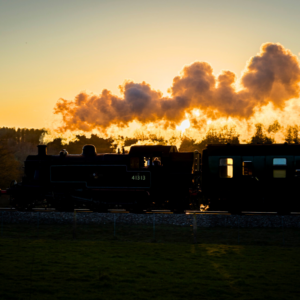 Sunset Observation Rides on the Golden Arrow