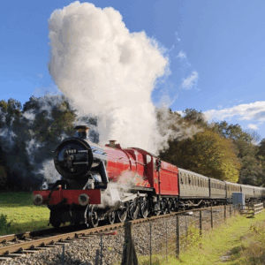 New Years Day Gala 2026