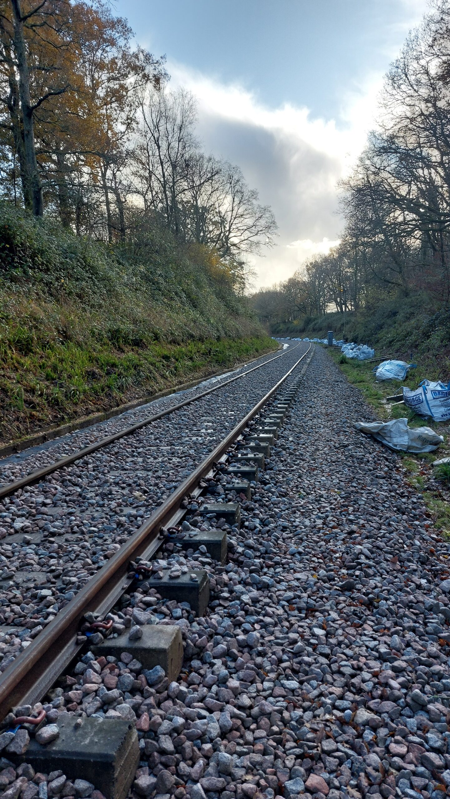 Part ballasted track