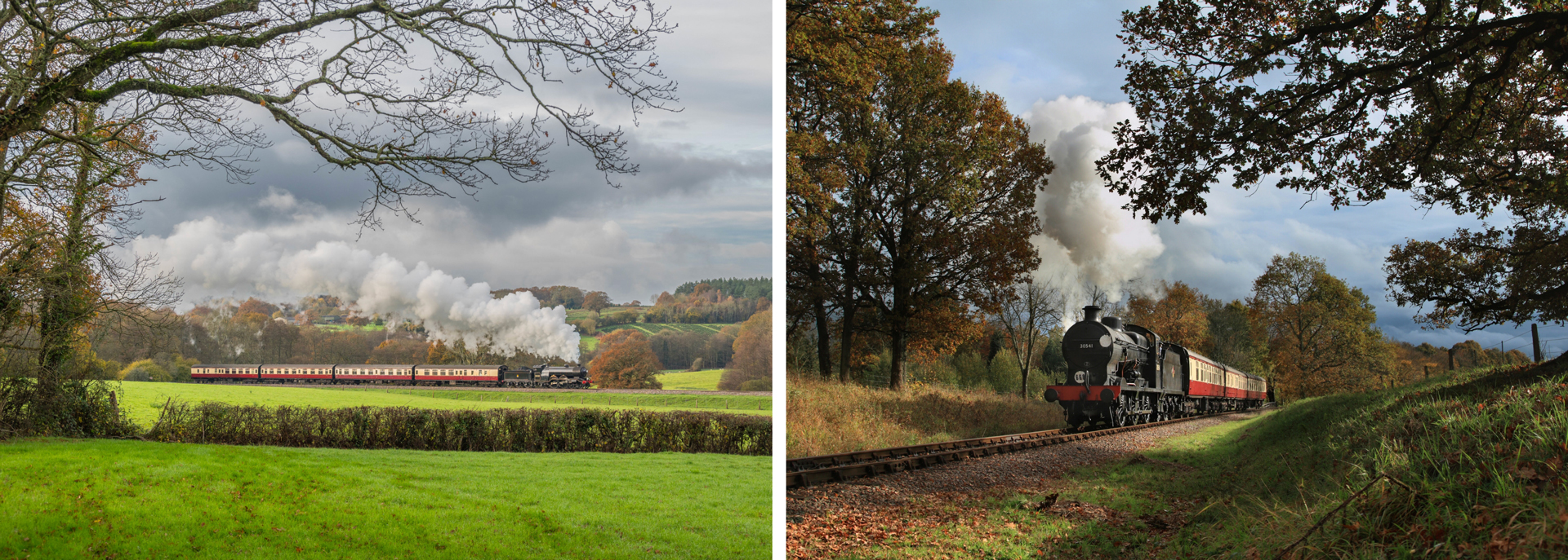 birdsong-rails_img-row1