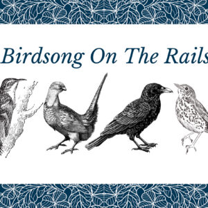 Birdsong on the Rails